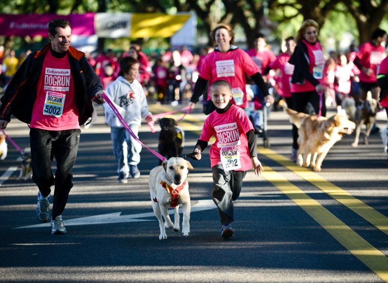 DogRun
