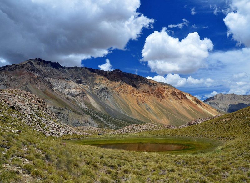 chivas trail