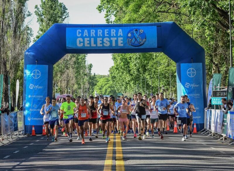 carrera