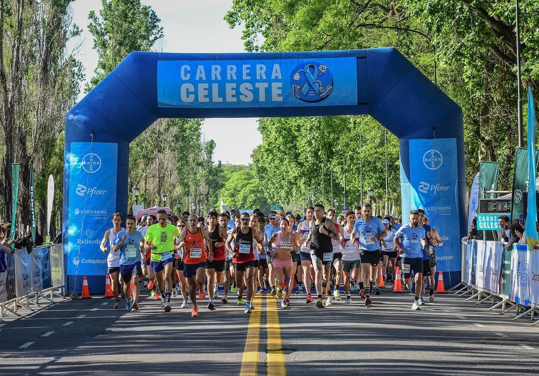 carrera