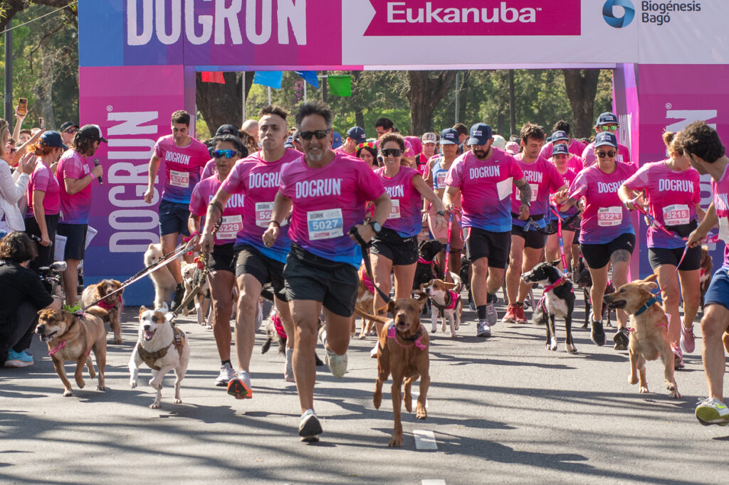 dogrun