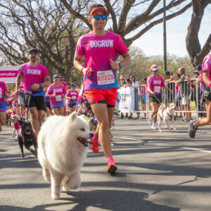 dogrun