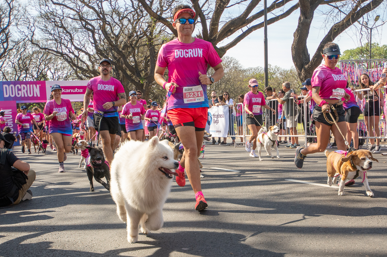 dogrun