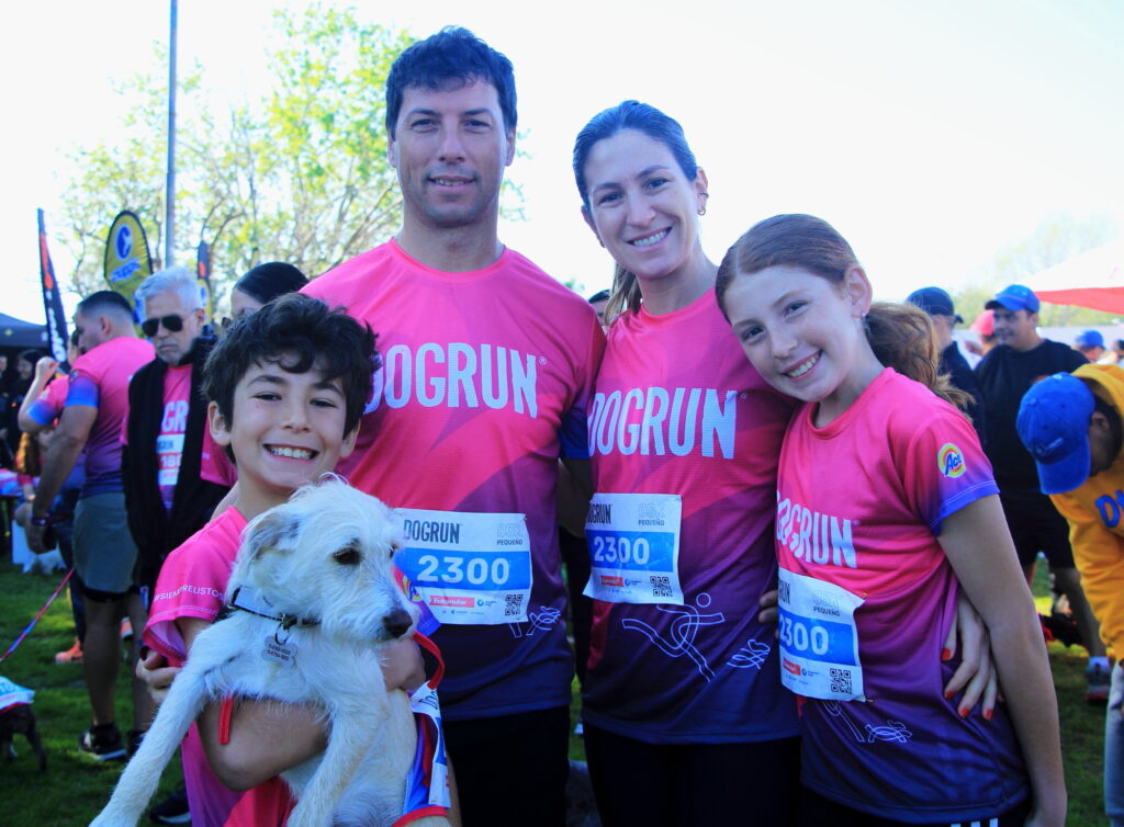 dogrun