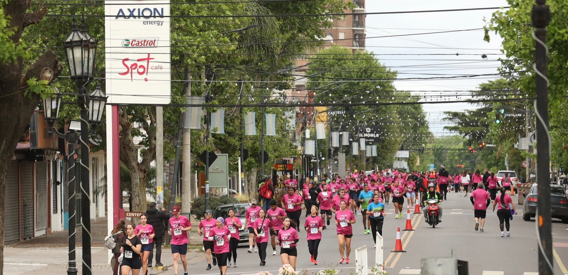 carrera